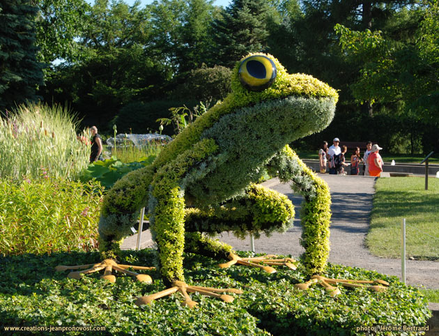 Frog, grenouille, Mosaiculture