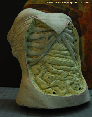 The bus twas molded on an actor and was cut to let see the sculpted ribcage. We can see some organs which were sculpted and will then be painted to give an organic texture.